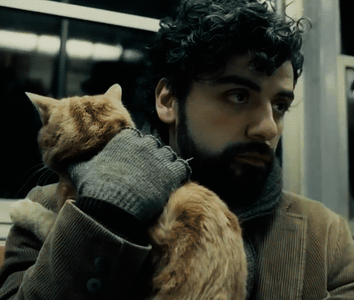 tumblr_mzi2hmRHjf1qmdmsio1_500