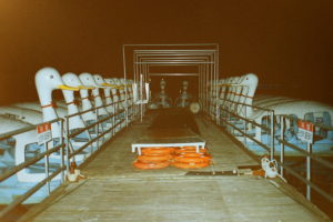 nick-luongo-alt-citizen