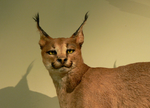 Screen Shot 2014-01-07 at 3.04.42 PM