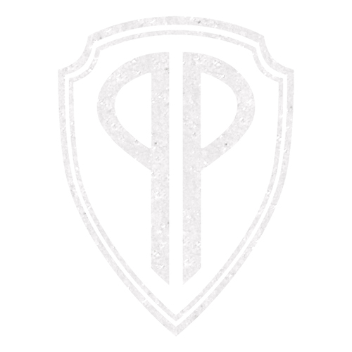 CT192 PerfectPussy Cover