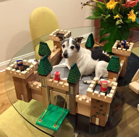 10408956_10153286863744479_2461921267942958158_n